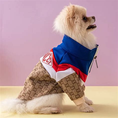 dog gucci jumper|gucci inspired dog clothes.